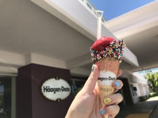 ハーゲンダッツのアイスクリーム